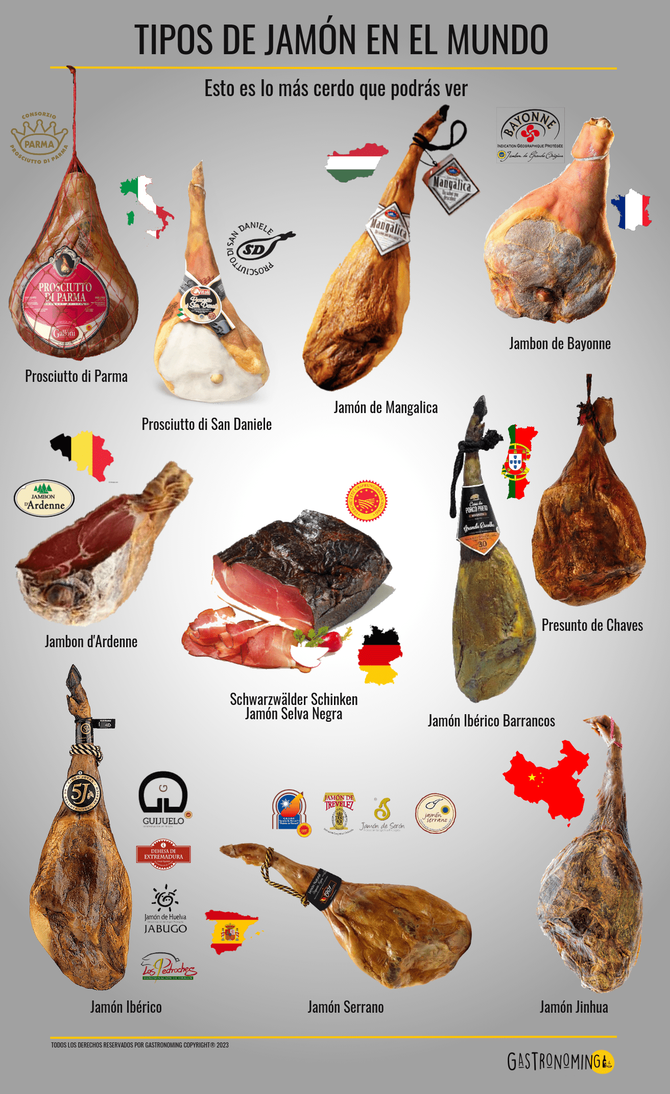 Descubre Los NOMBRES De Los MEJORES Jamones Del Mundo Descubre Los NOMBRES De Los MEJORES Jamones Del Mundo