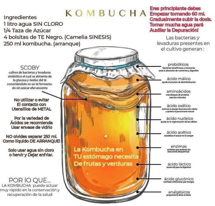 Kombucha Receta 1 Litro: ¡Explosión de Sabor!